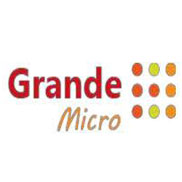 GRAND MICRO